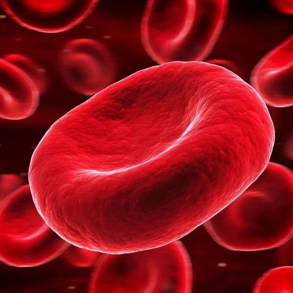 red-blood-cell-count-test-why-is-it-performed-risks-and-more